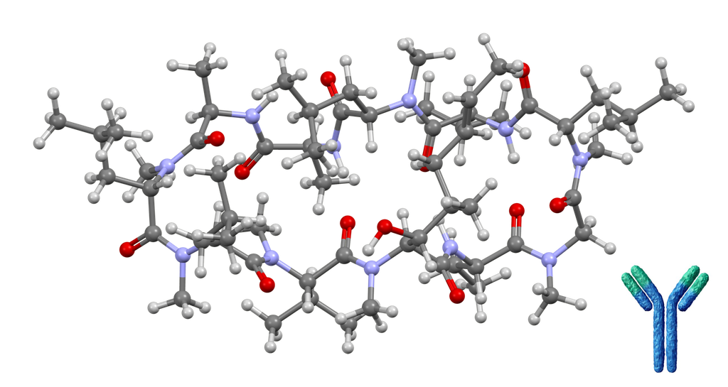 Cyclosporin A Monoclonal Antibody [Clone: 4A3 (CSZ.22)] - 50 mg