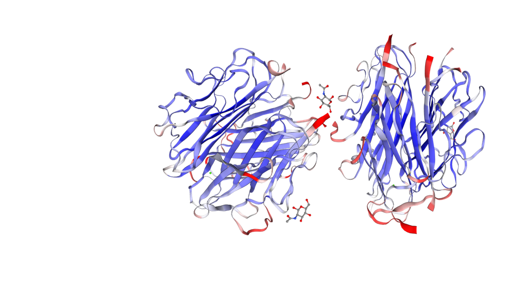 C1q Native Protein from Human Complement - 0.2 mg