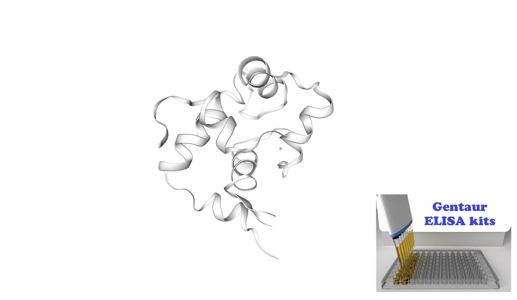 Human Troponin I, fast skeletal muscle (TNNI2) ELISA kit - 96 wells plate