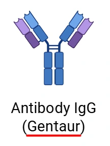 [0356-A-4036-050] Histone H3K9me3 (H3K9 Trimethyl) Polyclonal Antibody - 50 µl
