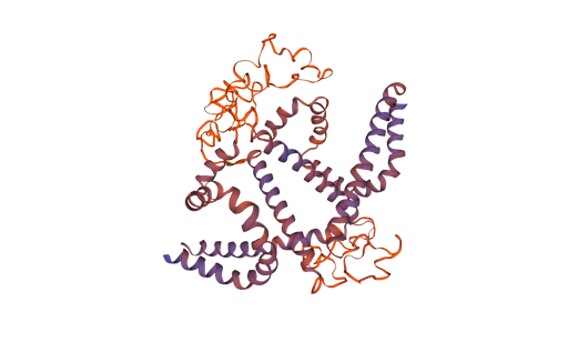 [0399-CSB-CF365858HEM-100UG] Recombinant Hepatitis B virus genotype D subtype ayw Large envelope protein S - 100 ug