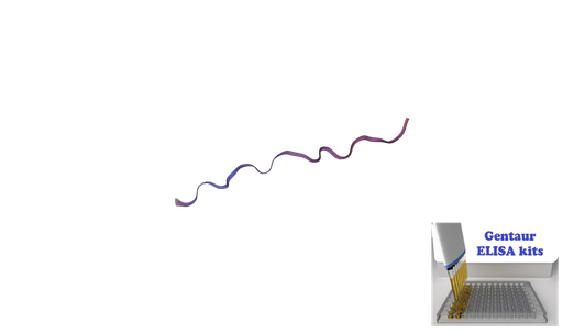 [0855-ELK7627-96T] Human MOTS-c (Mitochondrial Open Reading Frame Of The 12S rRNA-c) ELISA Kit