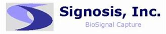 Mouse Cytokine ELISA Plate Array I (Chemiluminescence) - 4 Samples