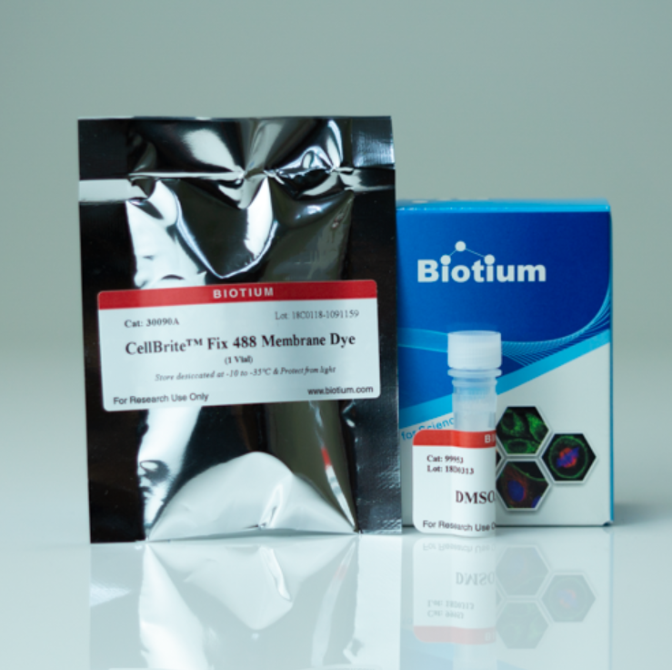 CellBrite Fix 488, 1vial