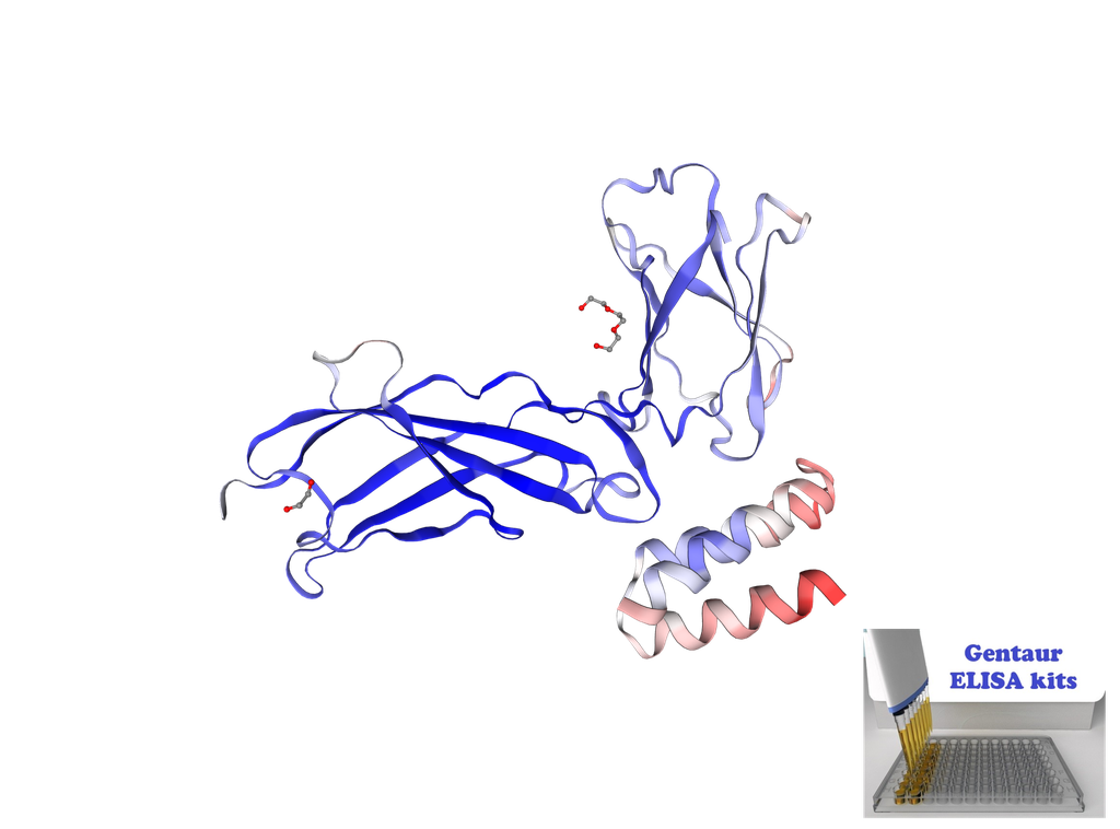 [0399-CSB-E14020h-96T] Human Soluble Interleukin-7 Receptor (sIL-7R) ELISA Kit - 96 wells plate