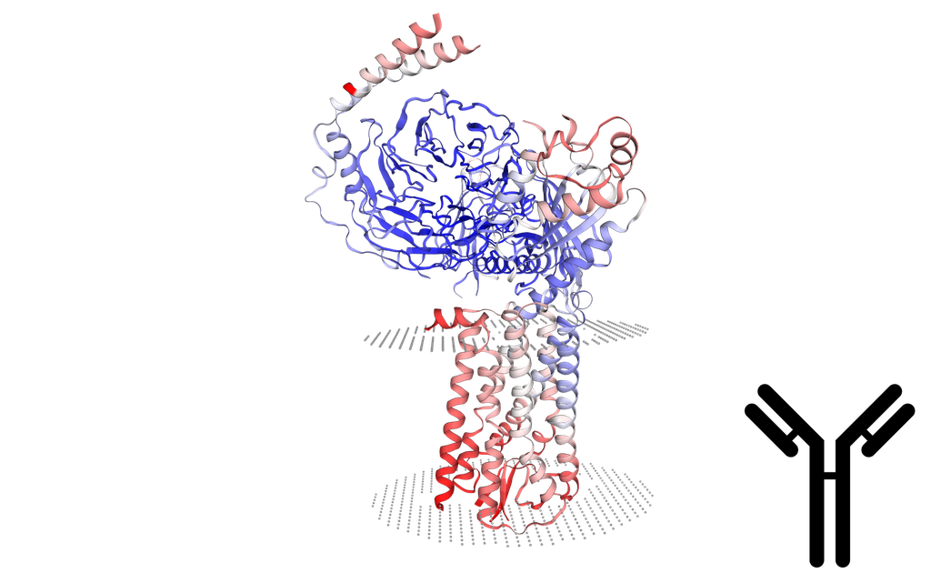 Biotin-Linked Polyclonal Antibody to Somatostatin (SST) - 100 ul