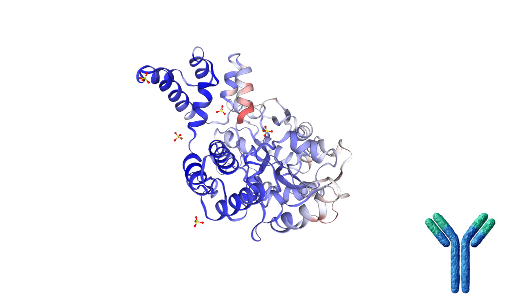 [1029-FHK23210B] Mouse Anti-Human TNFRSF25 [Clone: PTX25] mAb - 100 ug