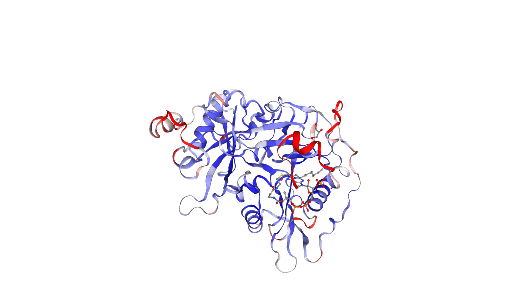 Human NMT1 protein (recombinant, E.coli, His-Tag) - 500 ug