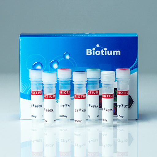 [0037-29005] Annexin V Conjugates - 0.5 mL, CF®488A -
