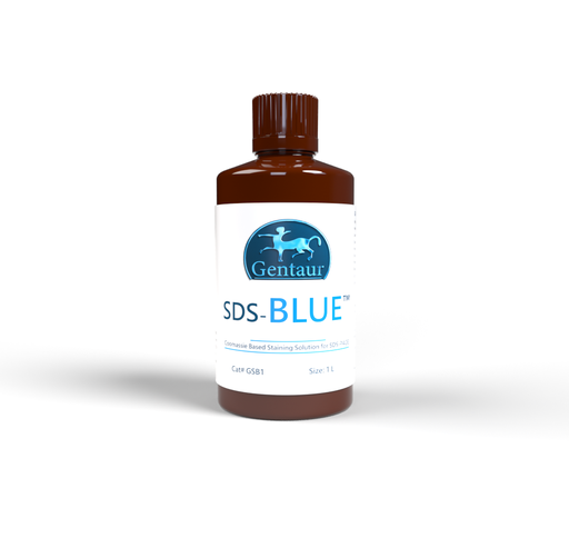 [GSB-1L] SDS-Blue™ (SDS-PAGE protein stain, ready to use) - 1 L
