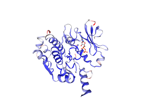 [0399-CSB-MP015278HU-20UG] Recombinant Human N-myc proto-oncogene protein (MYCN), Mammalian cells expression - 20 ug
