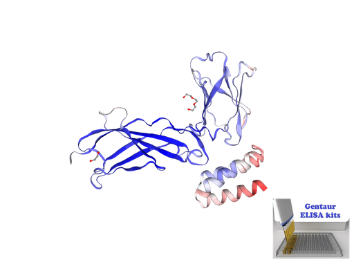 [0399-CSB-E14020h-96T] Human Soluble Interleukin-7 Receptor (sIL-7R) ELISA Kit - 96 wells plate