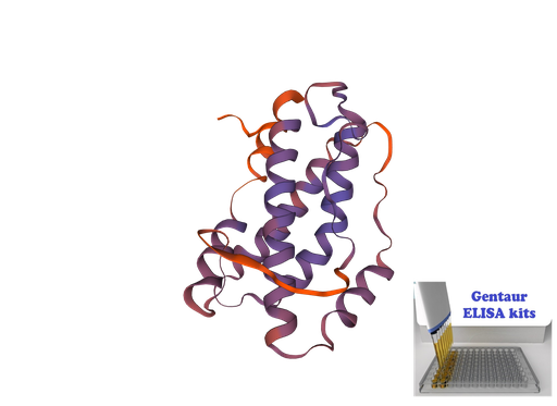 [0946-YLA0013BI-96T] Bird Interleukin 6 (IL-6) ELISA Kit - 96 wells plate