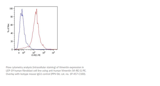 [0270-1P-369-C100] Anti-Vimentin PE, Monoclonal Antibody [Clone: VI-RE/1] - 0.1 mg (Conc. 0.1 mg/ml)
