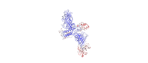 [0338-APC007Hu01-200UG] Active Human Interleukin 34 (IL-34) - 200 ug