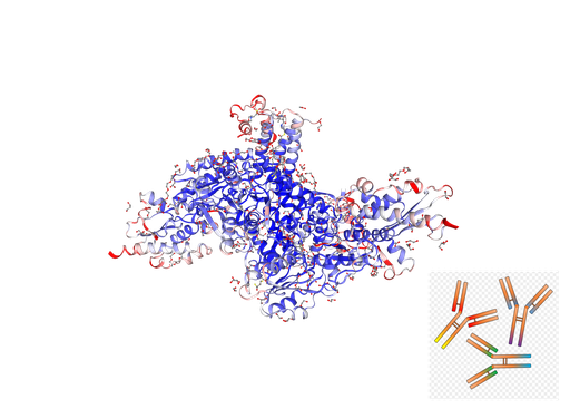 [0399-CSB-PA875729LA01HU-100UG] Anti-Human LYRM4 Rabbit PAb -100 ug