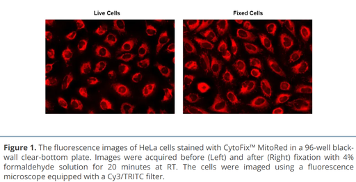 [0271-23210] CytoFix™ Red Lysosomal Stain