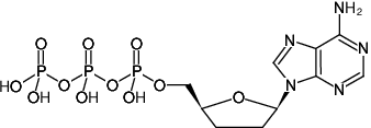 [0220-NU-271L] ddATP (2',3'-Dideoxyadenosine-5'-triphosphate, Trilithium salt), 5 μmol - 5 x 10 μl
