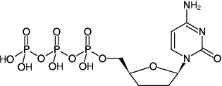 [0220-NU-272L] ddCTP (2',3'-Dideoxycytidine-5'-triphosphate, Trilithium salt), 5 μmol - 5 x 10 μl