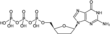 [0220-NU-273L] ddGTP - 2',3'-Dideoxyguanosine-5'-triphosphate, Trilithium salt), 5 μmol - 5 x 10 μl