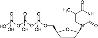 [0220-NU-274L] ddTTP (2',3'-Dideoxythymidine-5'-triphosphate, Trilithium salt), 5 μmol - 5 x 10 μl