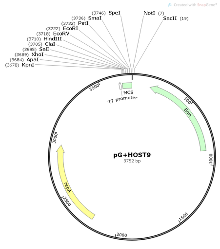 [0820-PVT11382] PG+HOST9 - 2 µg