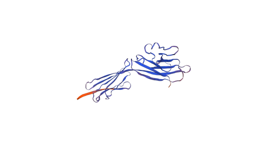 [0980-C311-50UG] Recombinant Human CD200 (C-6His) - 50 µg